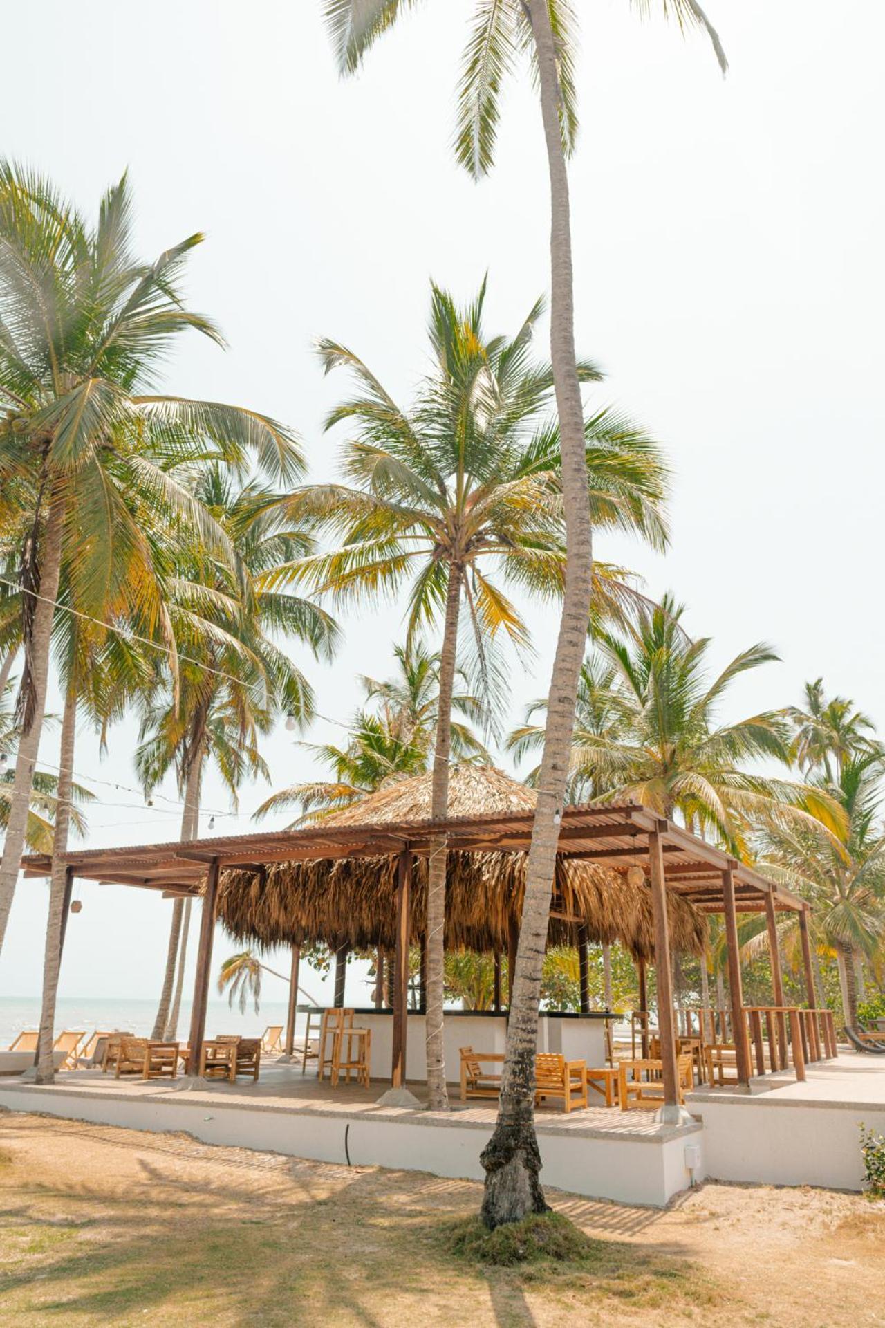 Hukumeizi Palomino Exterior photo